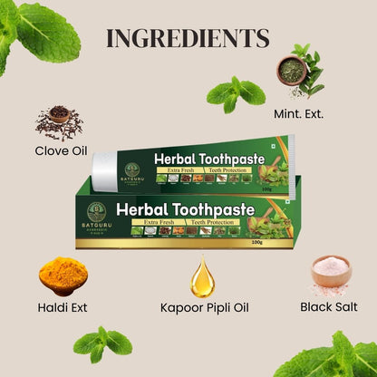 Herbal Toothpaste 100gm | Ayurvedic Oral Care & Gum Protection Formula